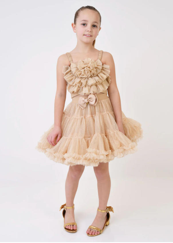 Rosetta Tulle Top